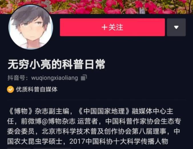 无穷小亮